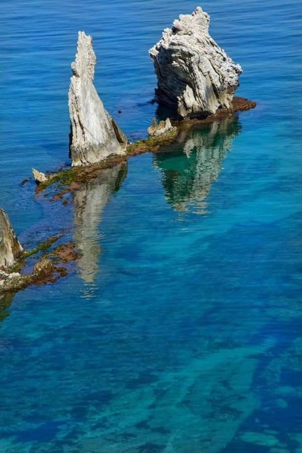 Il Moro - Casa Vacanze Terrasini Buitenkant foto